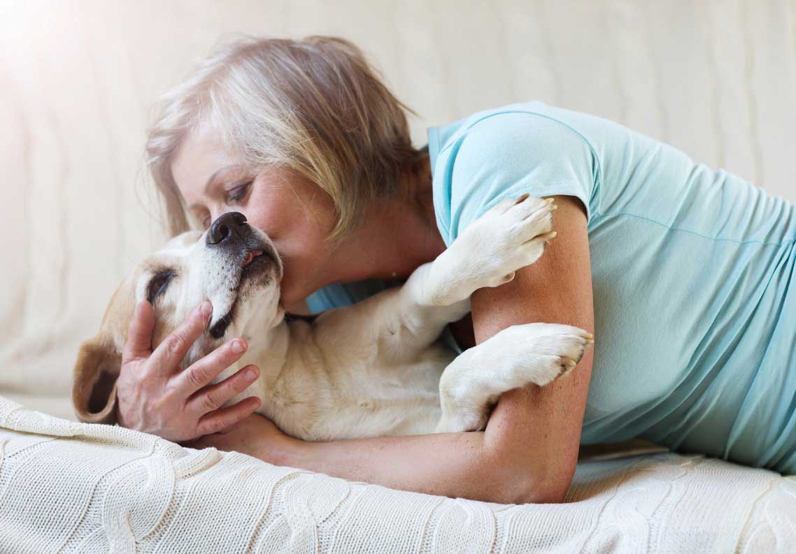 pet pain management in  Russellville, KY at Pet Care Services