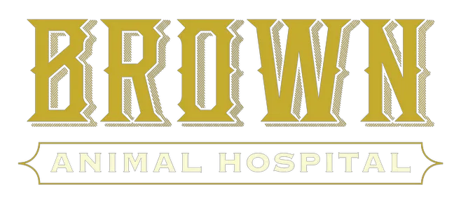 Pet Care Services